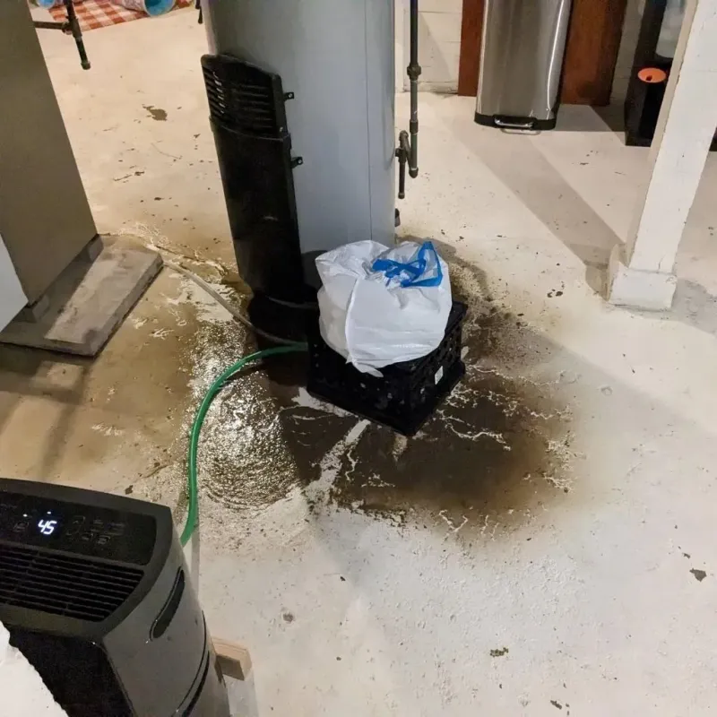 Sewage Backup Cleanup Service in Metzger, OR